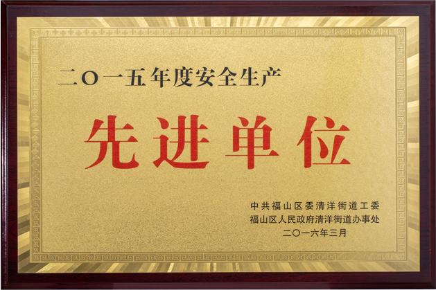 Leading Organization in Safe Production