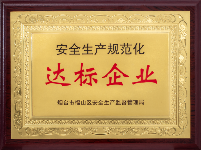 Qualified Enterprise for Safe Production Standardization
