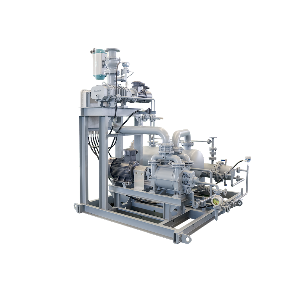 Roots-Liquid Ring Vacuum Systems