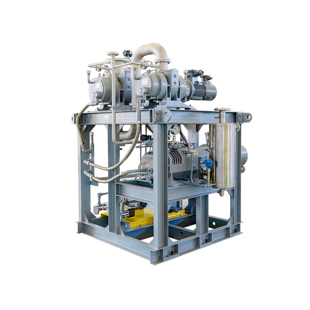 Roots-Screw Vacuum Systems