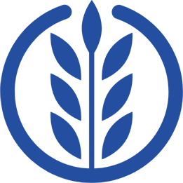 Grain Deep Processing